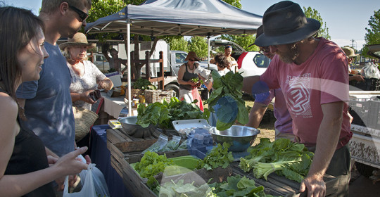 Eating for eye health – it’s Macular Degeneration Awareness Week 21-27 May